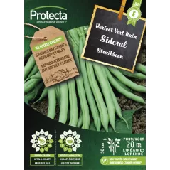 Haricot Vert Nain SIDERAL - Cat. E - Protecta