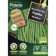 Haricot Vert Nain CUPIDON FR-BIO-15 - Cat. E - Protecta