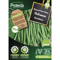 Haricot Vert Nain TALISMAN FR-BIO-15 - Cat. E - Protecta