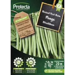 Haricot Vert Nain PONGO - Cat. E - Protecta