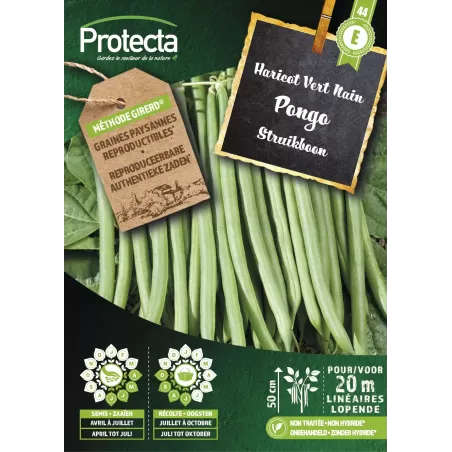 Haricot Vert Nain PONGO - Cat. E - Protecta