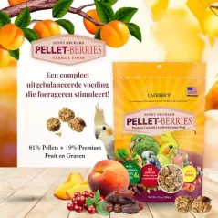 Pellet-Berries Sunny Orchard - Cockatiel 284gr - Lafeber's à 13,95 € - Lafeber's - LF31740 - Snacks