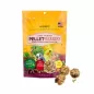 Pellet-Berries Sunny Orchard - Cockatiel 284gr - Lafeber's