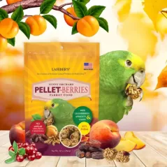 Pellet-Berries Sunny Orchard - Perroquet 1,26kg - Lafeber's à 49,95 € - Lafeber's - LF31752 - Snacks