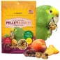 Pellet-Berries Sunny Orchard - Perroquet 284gr - Lafeber's