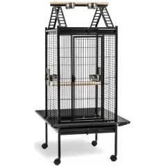 Cage Perroquet Lucia - Kinlys à 299,95 € - Kinlys - 15606 - Accessoires