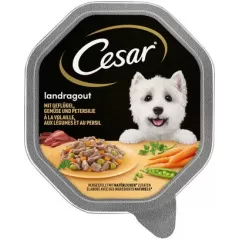 Tray Cuisine Volaille & Légumes 150g - Cesar à 1,70 € - Cesar - 359277 - Cesar