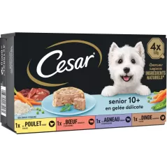 Tray Senior 10+ en gelée 4x150g - Cesar