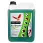 Bird Breeder 5L, détergent - Goldbird à 39,95 € - Goldbird - 83027 - Goldbird