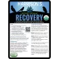 Recovery Formula 57gr - Harrison's