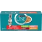 Chat Stérilisé Multivariétés 40x85gr - ONE à 35,99 € - Purina - 12583942 - One