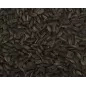 Tournesol Noir au kg - Ornibird