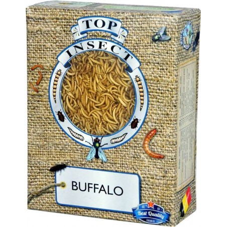 Vers Buffalo (insectes congelés) 425gr - Top Insect à 11,40 € - Nusect Top Insect - TOPINS-BUFF - Insectes