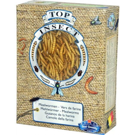 Vers de Farine (insectes congelés) 420gr - Top Insect à 9,90 € - Nusect Top Insect - TOPINS-VFAR - Insectes