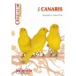 The Canaries, a book of 64 pages - Animalia Editions