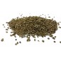 Hemp seeds small format of the kg - Beyers