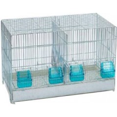 Cage Cova avec tiroir en plastique et 2 compartiments 55x32x36cm à 38,95 € - Domus Molinari - 111015000 - Cages