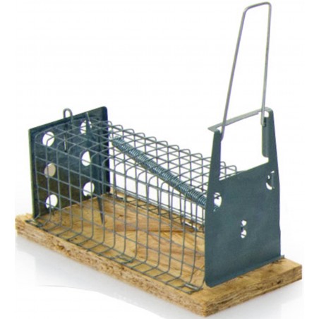 Trap - mouse Trap 1 compartment 34508 Kinlys 7,05 € Ornibird