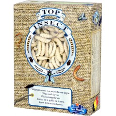 Moths of Hives (insects frozen) 450gr - Top Insect TOPINS-TEIGNE Nusect Top Insect 31,40 € Ornibird