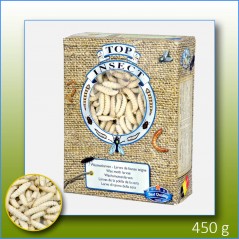 Teignes de Ruches (insectes congelés) 450gr - Top Insect à 31,40 € - Nusect Top Insect - TOPINS-TEIGNE - Insectes