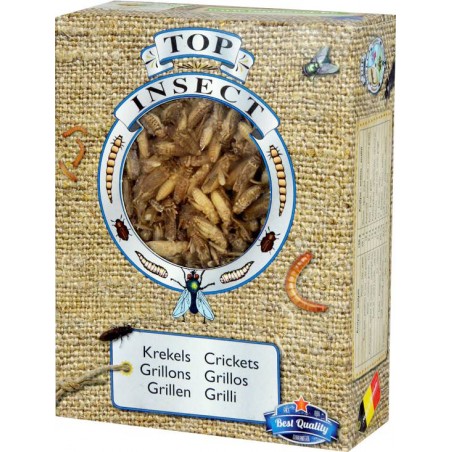 Grillons (insectes congelés) 400gr - Top Insect à 18,55 € - Nusect Top Insect - TOPINS-GRIL - Insectes