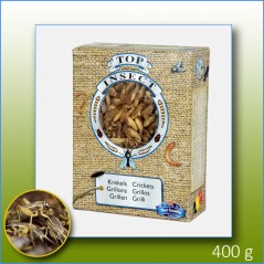 Grillons (insectes congelés) 400gr - Top Insect à 18,55 € - Nusect Top Insect - TOPINS-GRIL - Insectes