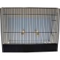 Cage exposition grandes perruches noir en PVC