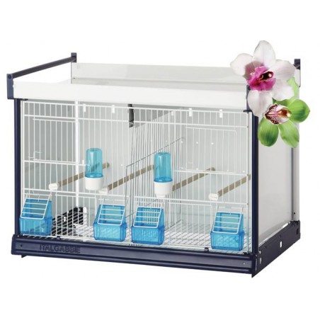 Batterie de cages Orchidea ART.64 avec système papier - Italgabbie ITAL-ART64 Italgabbie 433,48 € Ornibird