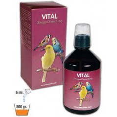 Vital, mélange d'huile Omega 500ml - Easyyem à 20,20 € - Easyyem - EASY-VITAL500 - Vitamines et Compléments