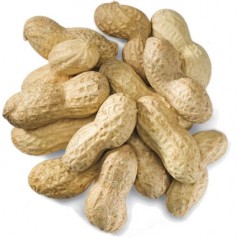 Sac de cacahuètes décortiquées pour oiseaux (2 kg)