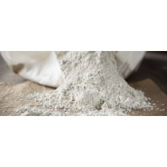 Terre de Diatomée alimentaire Blanche en seau 1L - Ornibird à 7,45 € - Private Label - Ornibird - 78490/L - Anti-Poux