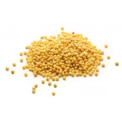 Millet Jaune au kg - Ornibird à 2,15 € - Beyers - 002702/kg - Graines Ornibird au kg