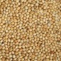 Millet Yellow in the kg - Beyers