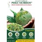 Pearl Morbid Green 800gr - Ornitalia