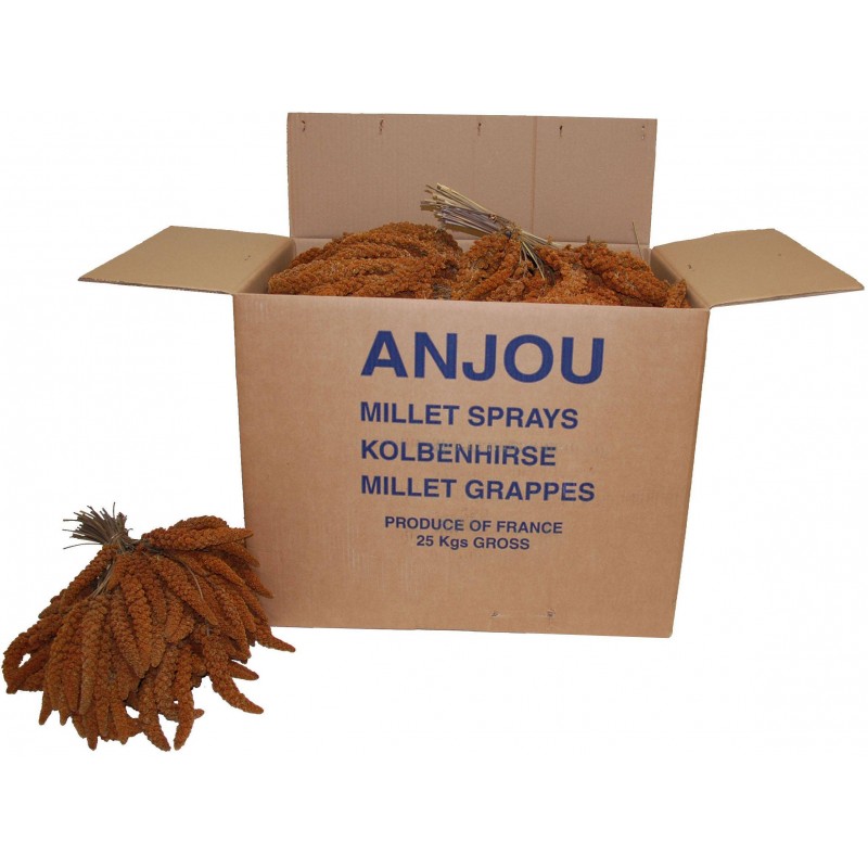 Millet Rouge en grappes Anjou 25kg