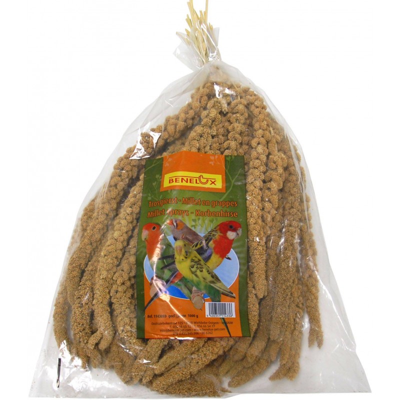 Millet Jaune en grappes Anjou 1kg