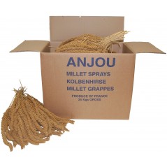 Millet Jaune en grappes Anjou 25kg à 159,95 € - Kinlys - 1143001 - Grappe