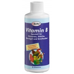 Quiko Vitamine B Liquide 100ml à 9,60 € - Quiko - 200090 - Quiko