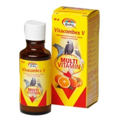 Quiko Vitacombex V 30ml à 5,95 € - Quiko - 200220A - Vitamines et Compléments