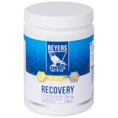 Recovery (préparation à base de protéines) 600gr - Beyers Plus à 23,20 € - Beyers Plus - 023148 - Beyers Plus