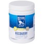 Recovery preparation (protein-based) 600gr - Beyers More