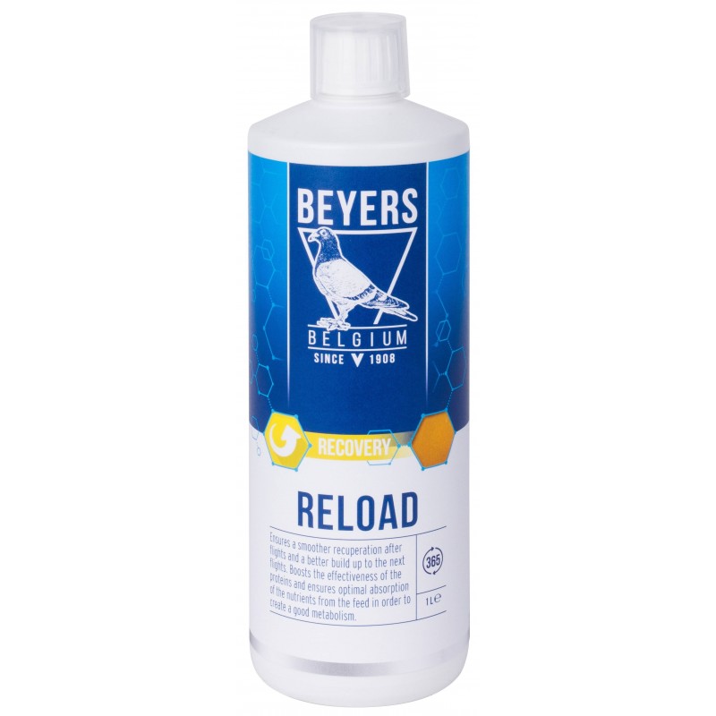 Reload (acides aminés) 1L - Beyers Plus