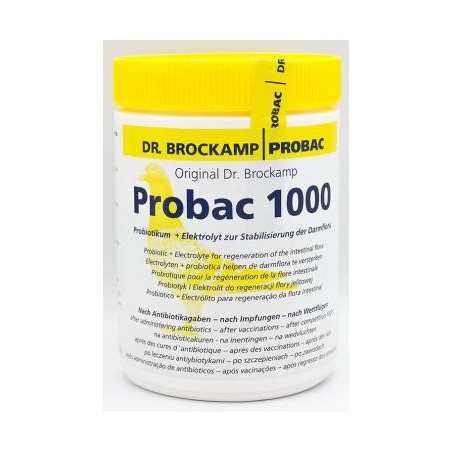 Probac 1000 (electrolytes + probiotics ) 500gr - Dr. Brockamp - Probac 36006 Dr. Brockamp - Probac 33,95 € Ornibird