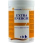 Extra-Energy 300g - Schroeder - Tollisan