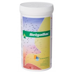 Belgabac 300gr - Belgica De Weerd 60029 Belgica De Weerd 25,10 € Ornibird