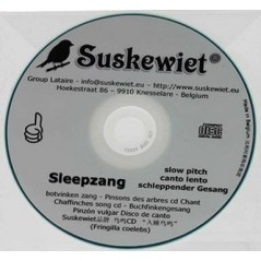 Pinsons des arbres CD chant : Sleepzang - Suskewiet à 11,60 € - Suskewiet - 20006 - Suskewiet