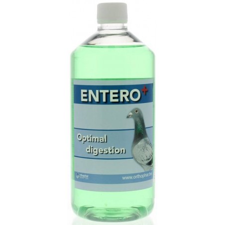 Entero (acides - digestion) 1L - Orthophar Pigeon - Pharmacie Flament & Dr. Vanneste à 19,45 € - Orthophar - Pharmacie Flamen...