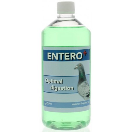 Entero (acides - digestion) 1L - Orthophar Pigeon - Pharmacie Flament & Dr. Vanneste 31003 Orthophar - Pharmacie Flament & Dr...