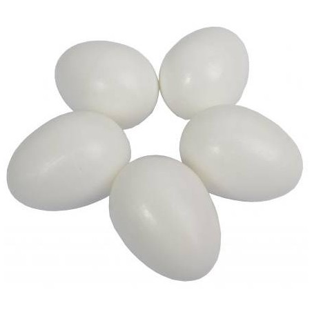 20 Oeufs en plastique pour pigeons - creux 26118 Private Label - Ornibird 6,05 € Ornibird