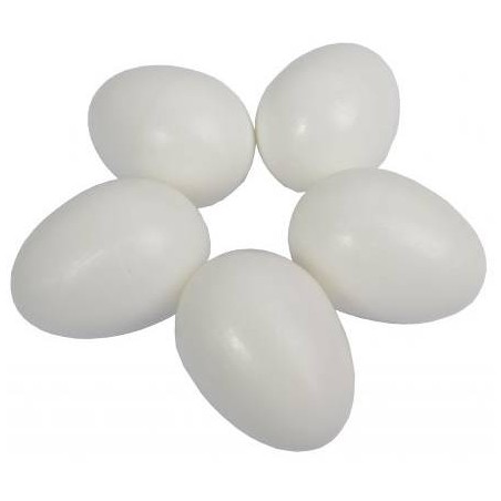 20 Oeufs en plastique pour pigeons - plein à 10,05 € - Private Label - Ornibird - 26018 - Matériels d'élevage
